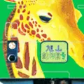 旭川市 旭山動物園の写真_288944