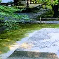 法然院の写真_289010