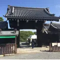 京都御苑の写真_289013