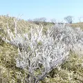 箱根・駒ケ岳ロープウェーの写真_289495