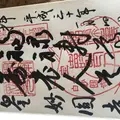 妙円寺の写真_289531