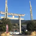 橘神社の写真_289558