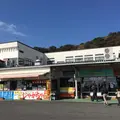 千々石観光センター・千鶏カステラ本舗の写真_289560