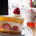 いちびこの写真_290305