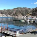河口湖の写真_290752