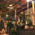 Nem Coffee&Espressoの写真_290871