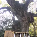 熱田神宮の写真_290897