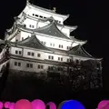 名古屋城の写真_290898