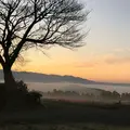 雲海の写真_290954