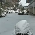 星野リゾート 界 津軽の写真_291106