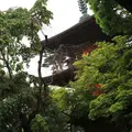 豪徳寺の写真_293064