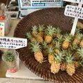国際通りの写真_293503