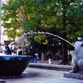 上野恩賜公園（上野公園）の写真_296579