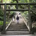 シルミチューの写真_296806