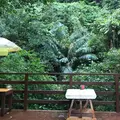 Cafe icharaの写真_297764