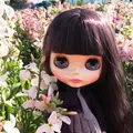 白間津花畑の写真_298160
