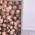 まちのシューレ 963の写真_298278