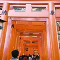 伏見稲荷大社の写真_299307