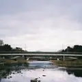 鴨川デルタの写真_299311