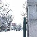 北海道大学の写真_299496