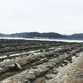 鬼の洗濯板の写真_301326