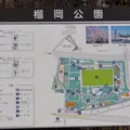 榴岡公園の写真_302198
