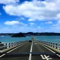 角島大橋 (つのしまおおはし)の写真_302736
