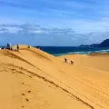 鳥取砂丘の写真_302741