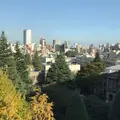 青山学院大学 青山キャンパスの写真_302862