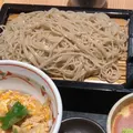 いろり庵 東京駅店の写真_302976