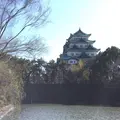 名城公園の写真_302984