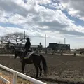 一の宮乗馬センターの写真_303209