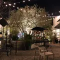 bondolfi boncaffē 代官山 （ボンドルフィ ボンカフェ）の写真_303520