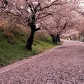 垣生公園の写真_304472