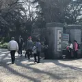 新宿御苑の写真_304528