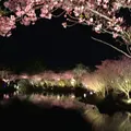 なばなの里の写真_305143