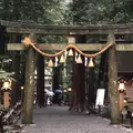 椿大神社の写真_305925