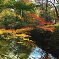 六義園の写真_306043