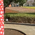 国立新美術館の写真_306118