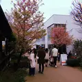 代官山 蔦屋書店(TSUTAYA)の写真_306445