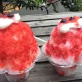 氷屋ぴぃすの写真_306487