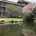 東京国立博物館の写真_306750