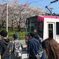 飛鳥山公園の写真_306952