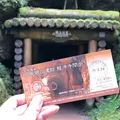 石見銀山の写真_307409