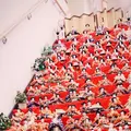 老神温泉の写真_307939