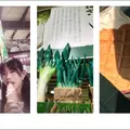 上州・村の駅の写真_307953
