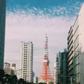東京タワーの写真_307995
