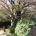 手づくりパンの店 櫻蔵の写真_308211