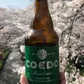 新河岸川の写真_308262