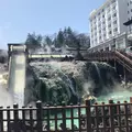 湯畑の写真_308288